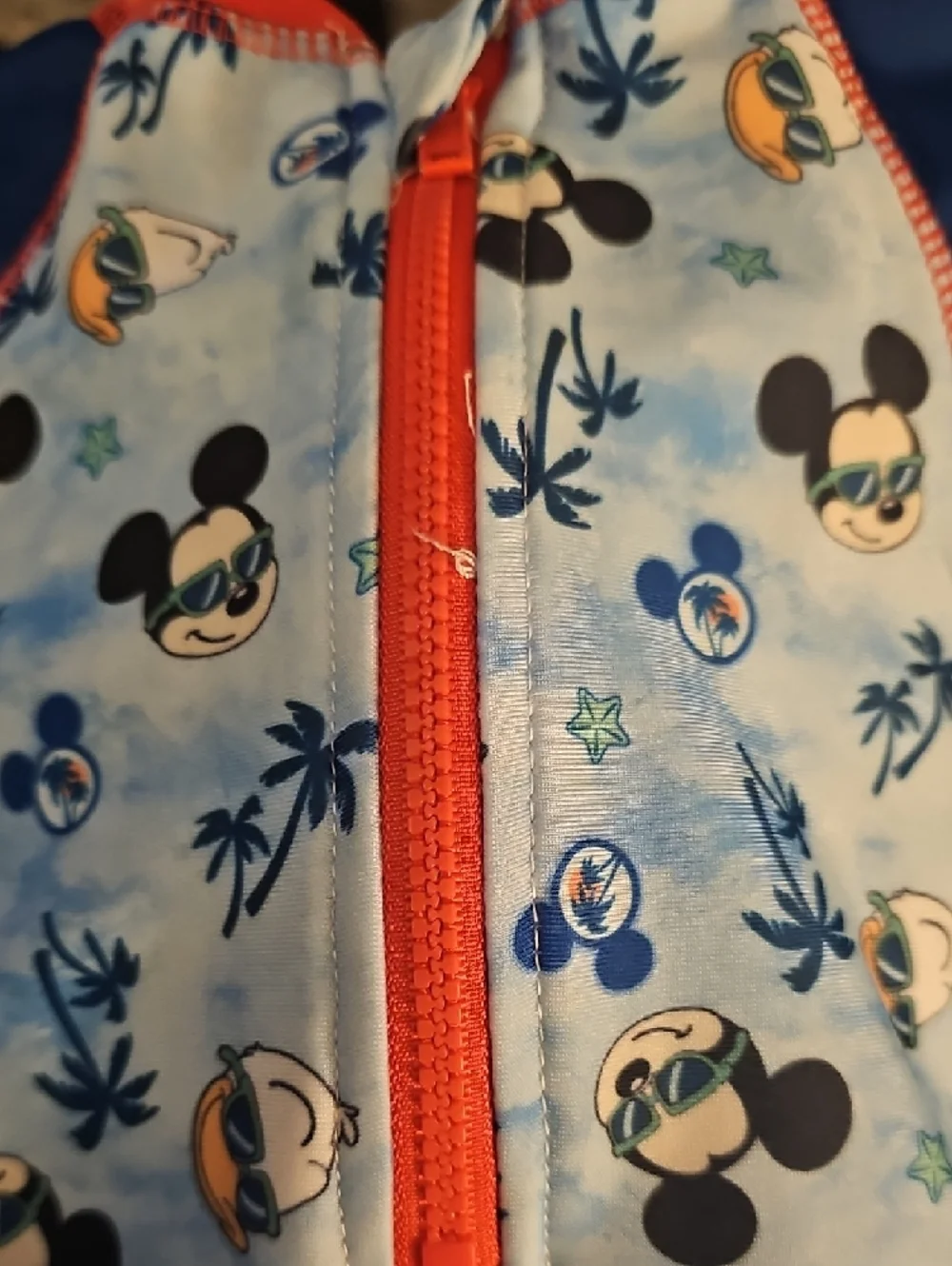 Disney Light Blue Mickey Mouse/Donald Duck Print Short Sleeve Swim Rashguard